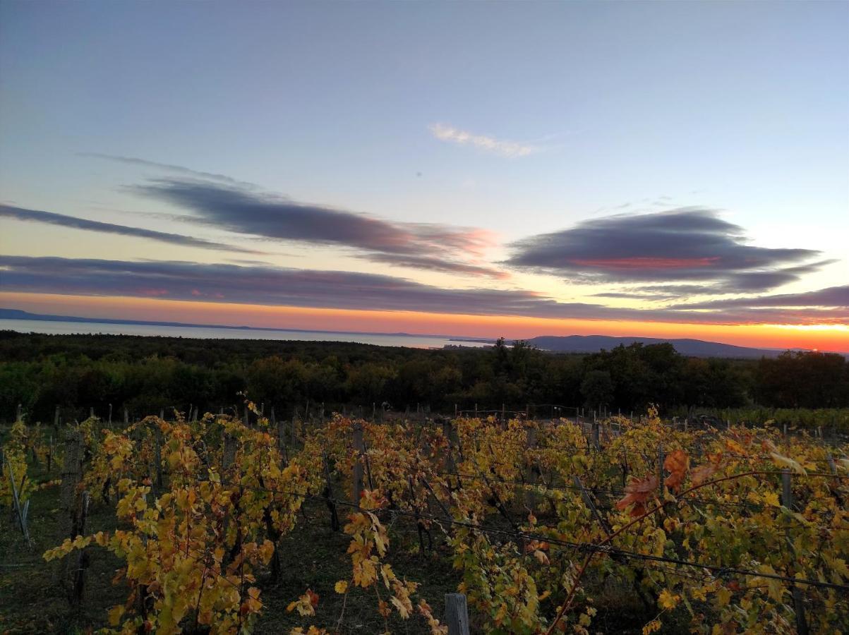 Napraszallas Vendeghaz Balatonakali Exteriör bild
