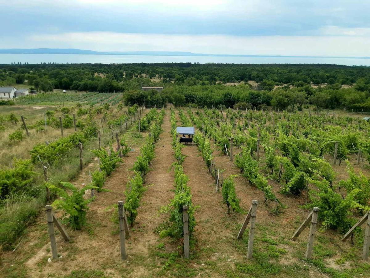 Napraszallas Vendeghaz Balatonakali Exteriör bild