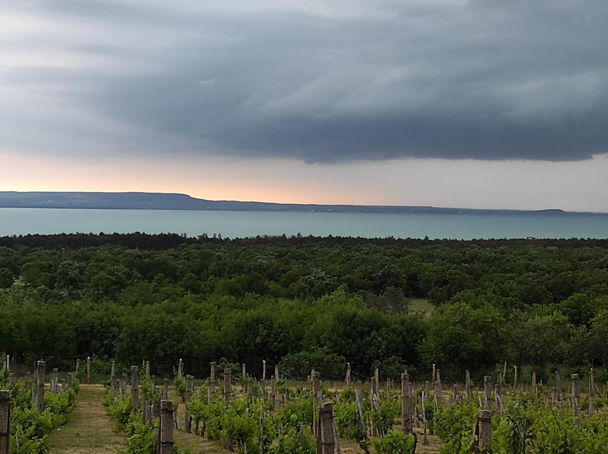 Napraszallas Vendeghaz Balatonakali Exteriör bild