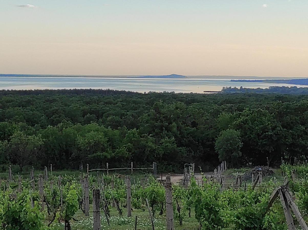 Napraszallas Vendeghaz Balatonakali Exteriör bild