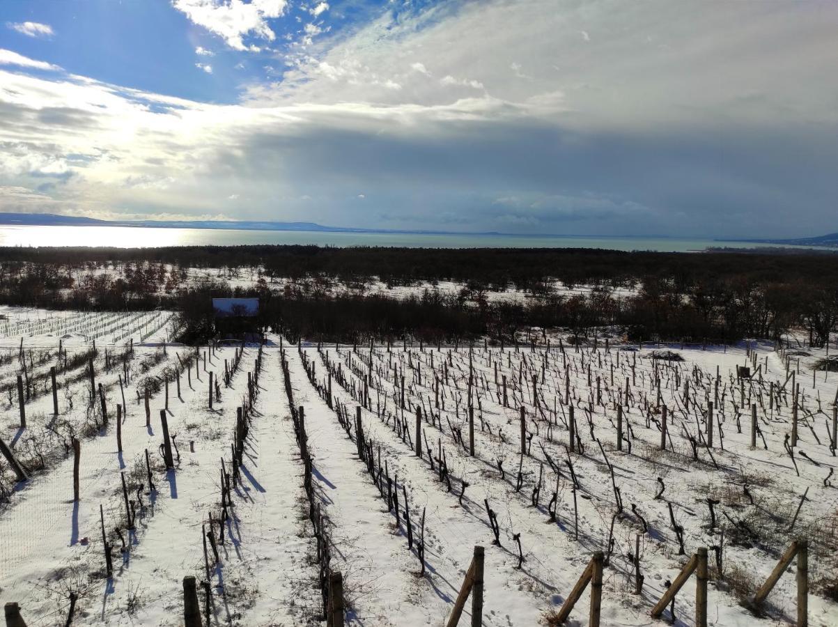Napraszallas Vendeghaz Balatonakali Exteriör bild
