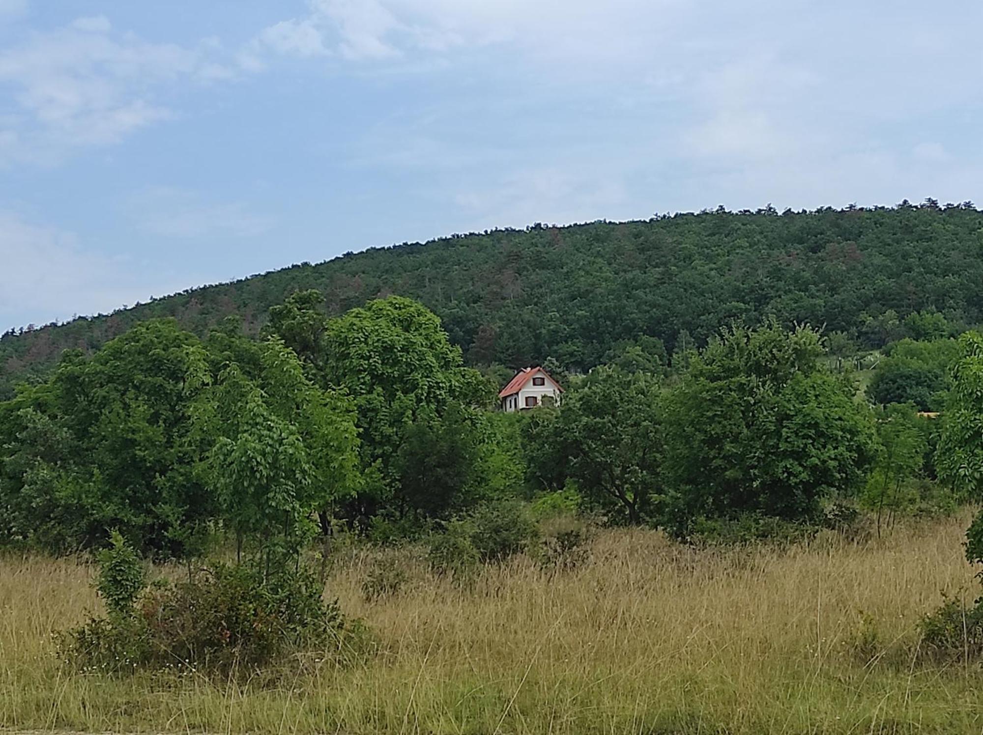 Napraszallas Vendeghaz Balatonakali Exteriör bild
