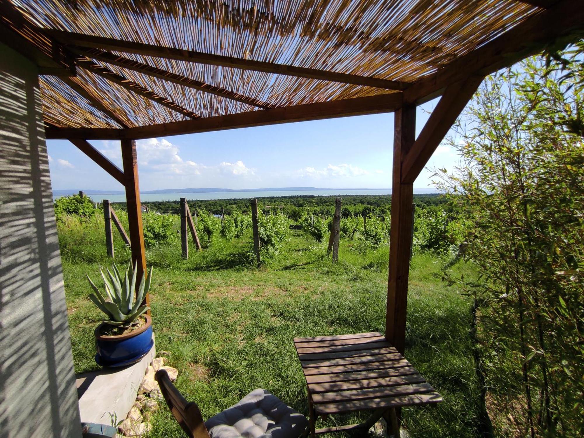 Napraszallas Vendeghaz Balatonakali Exteriör bild
